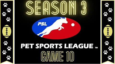 Jerry Rice & Nitus' Dog Football | Season 3 - Game 10 #NintendoWii #WiiGames