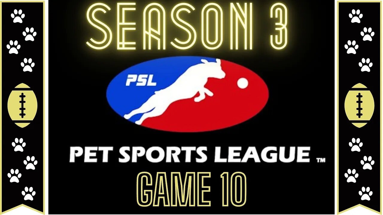 Jerry Rice & Nitus' Dog Football | Season 3 - Game 10 #NintendoWii #WiiGames