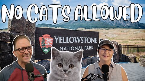 Missing Cat at Yellowstone Found 900 Miles Away