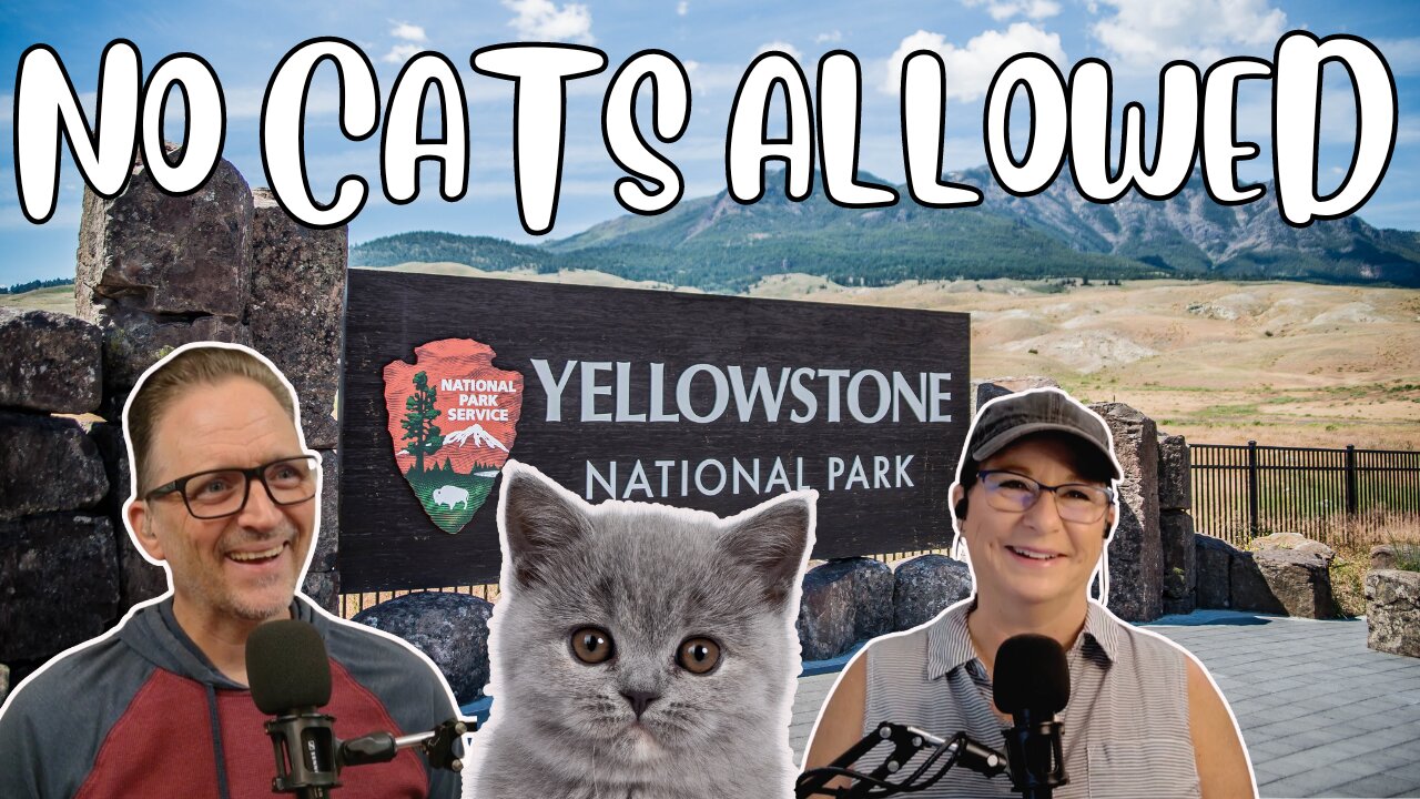 Missing Cat at Yellowstone Found 900 Miles Away