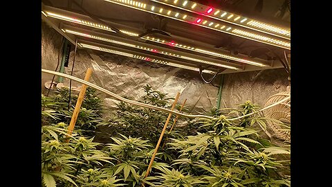 MARS HYDRO FC-E4800 LED Grow Light 4x4ft UV IR Full Spectrum Grow Light Bar with 2646pcs Diodes...