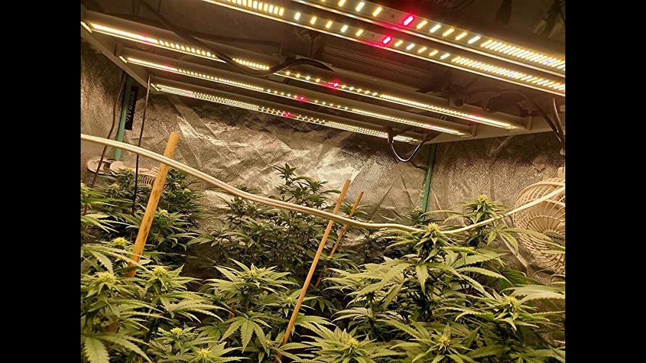 MARS HYDRO FC-E4800 LED Grow Light 4x4ft UV IR Full Spectrum Grow Light Bar with 2646pcs Diodes...
