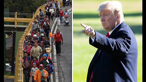 Donald Trump Slams Joe Biden For Crisis At The Southern Border "The Country Is Being Destroyed"