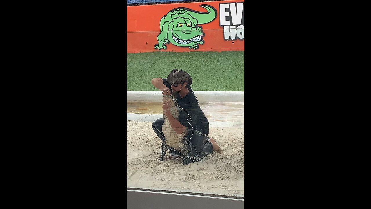 Everglades Holiday Park Alligator Show