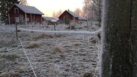 [Bonus] Magical Morning - Ice Cristal Sound in The Air & Shaking Wire