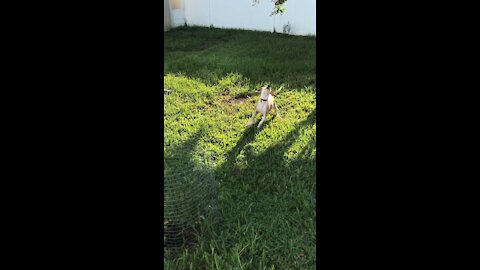 First time in the water