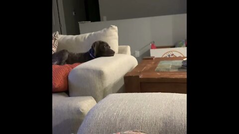 Tit 4 Tat