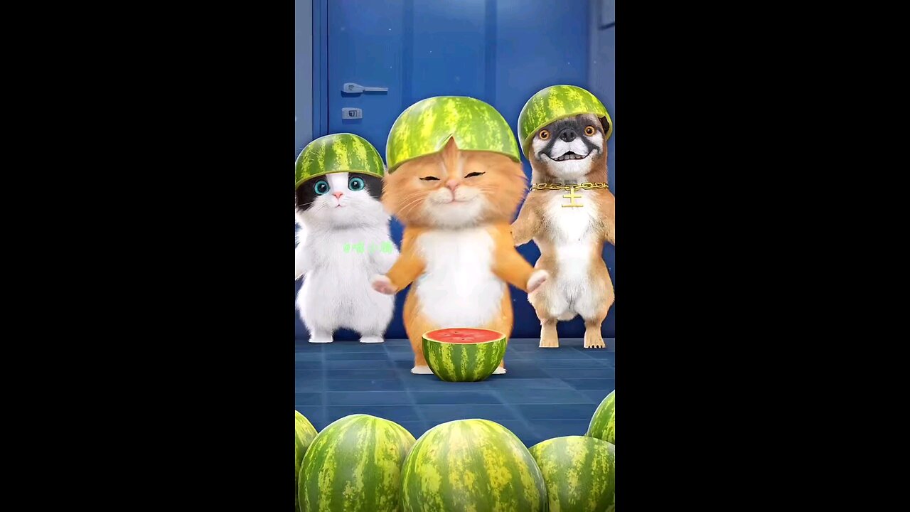 Dudi dam watermelon team version of meow team and