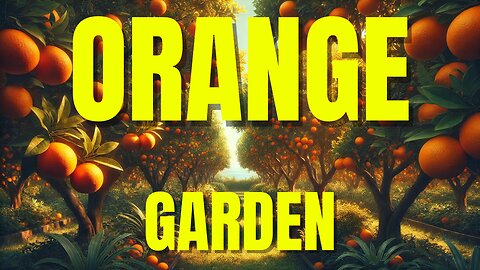Orange Garden Tour: Discover the Secrets of Citrus Farming!