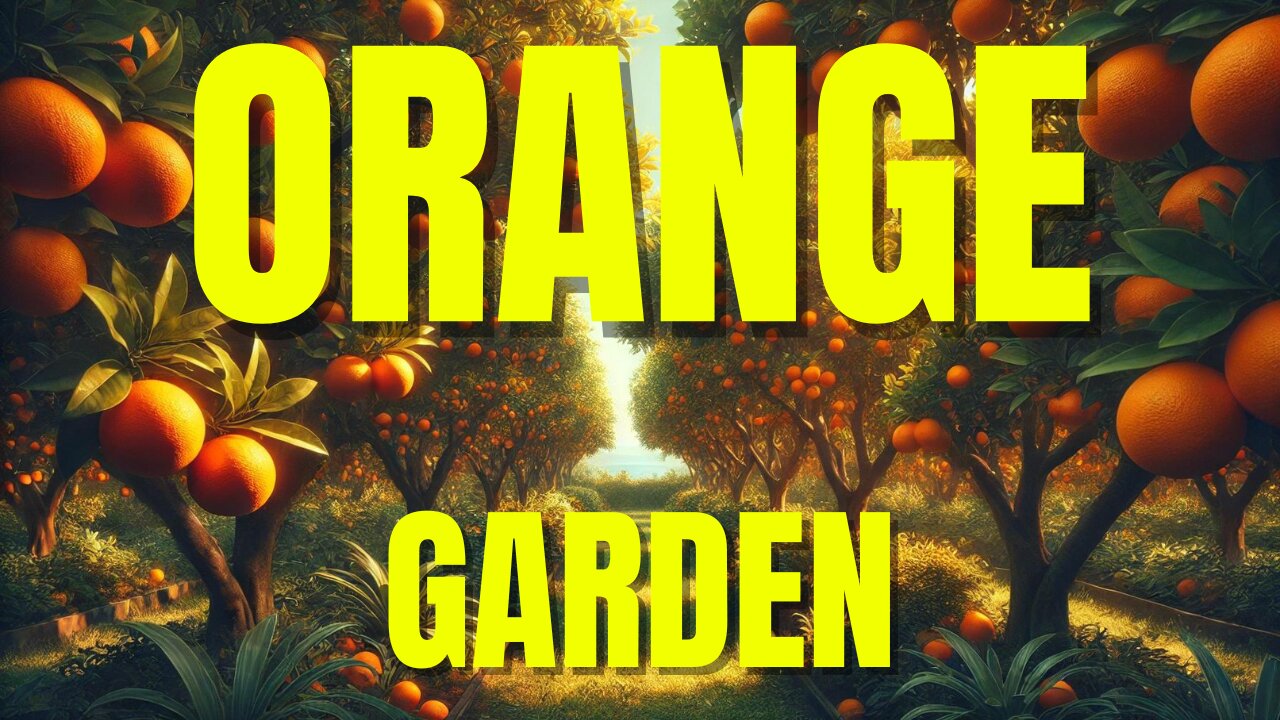Orange Garden Tour: Discover the Secrets of Citrus Farming!