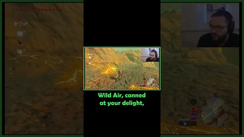 Wild Air! Canned at your delight!! #botw #goodwin #shorts #wildair