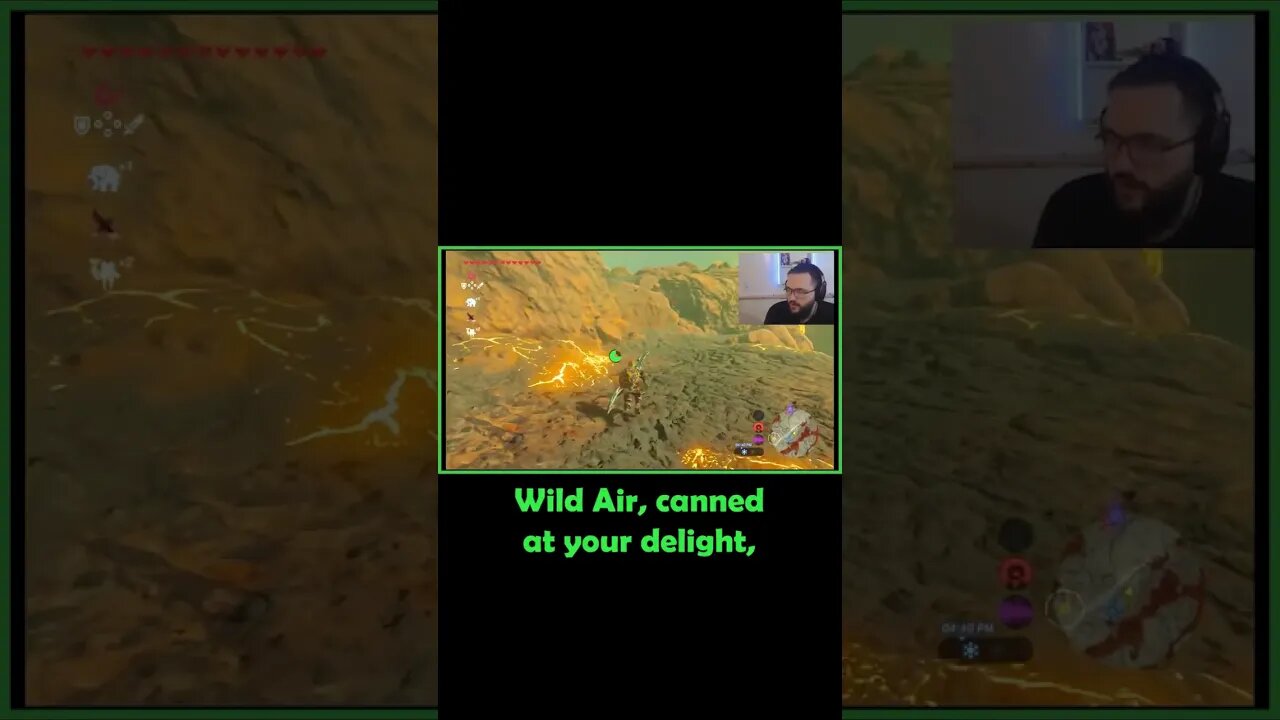 Wild Air! Canned at your delight!! #botw #goodwin #shorts #wildair