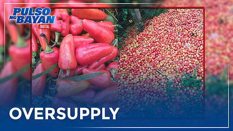 Kamatis at bell pepper, pinagtatapon na lang sa Nueva Vizcaya dahil sa oversupply