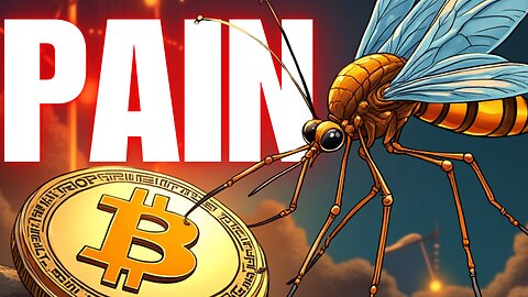 Can Bitcoin SURVIVE Election CRASH? (Mosquito DOOMSDAY)