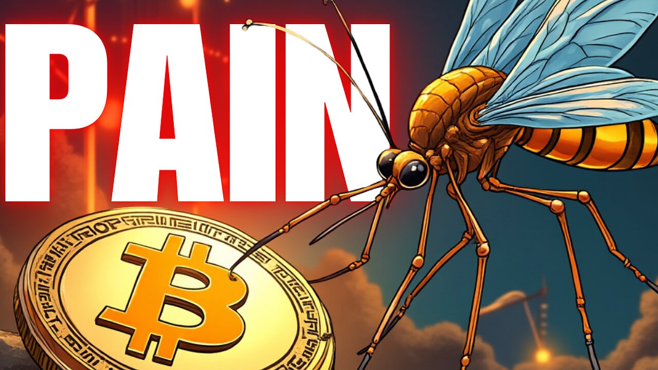 Can Bitcoin SURVIVE Election CRASH? (Mosquito DOOMSDAY)