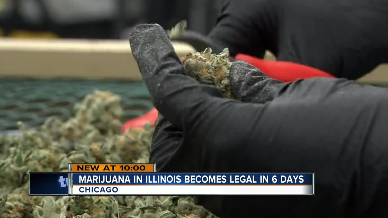 Pot is days away from being legal in Illinois: What Wisconsinites need to know about the new law