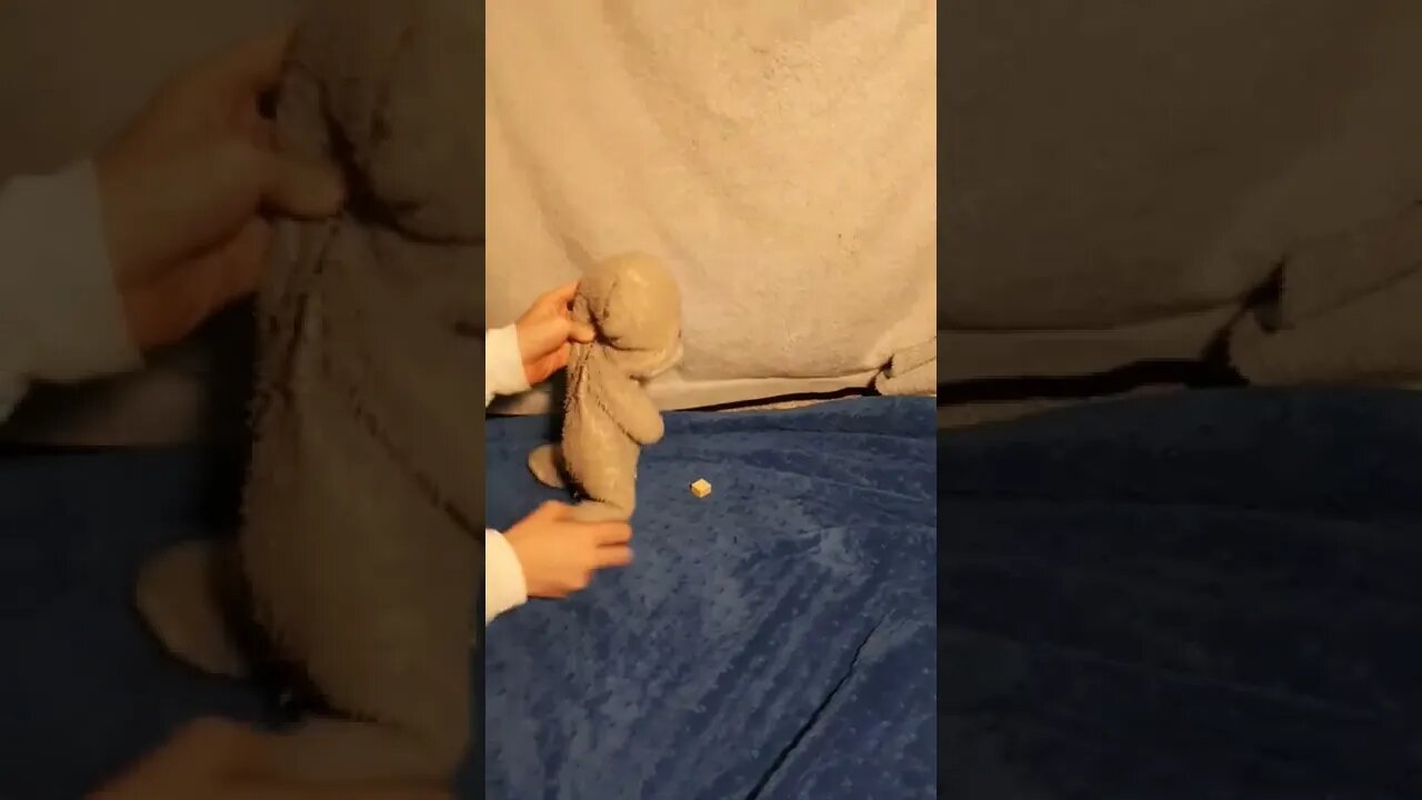 Teddy's Lego Problem