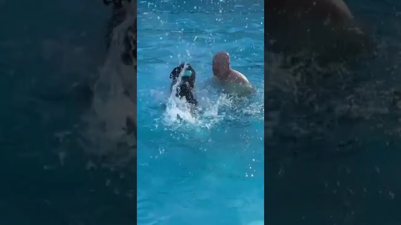 Dive at the beginning like a 7.5, swimming form at the end 10!