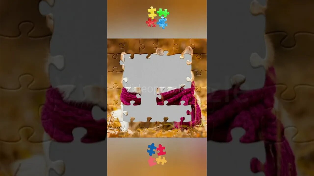 What is it? #Videopuzzle #Video #Puzzle #Anime #Animation #Cute #Asmr #Satisfaction #Game #Shorts