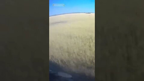 ‼️🇷🇺🤙Спецназ 🅾️тважных двигает на очередную боевую задачу #спецоперация #лисичанск