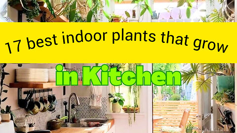 Home garden design ideas gardening tips growing seeds