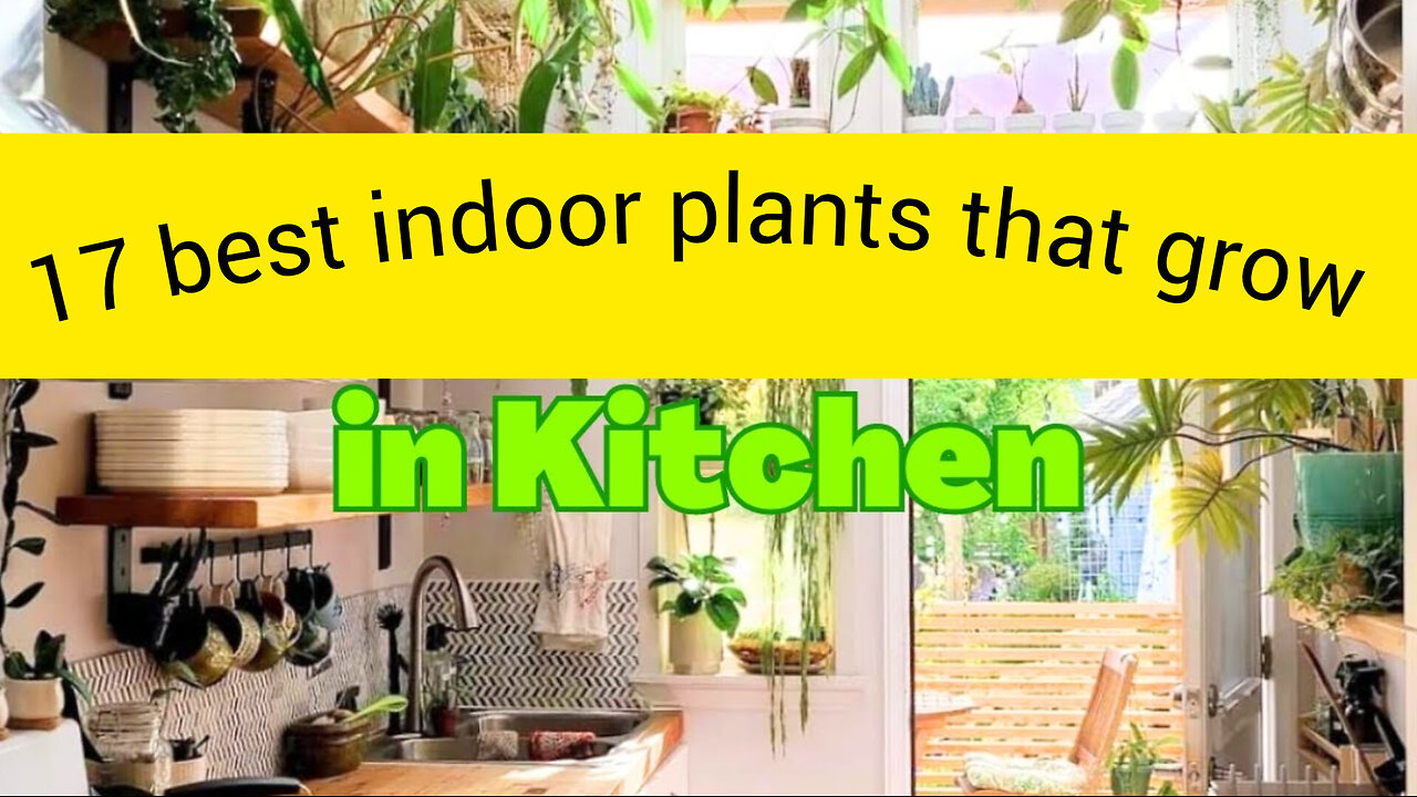 Home garden design ideas gardening tips growing seeds