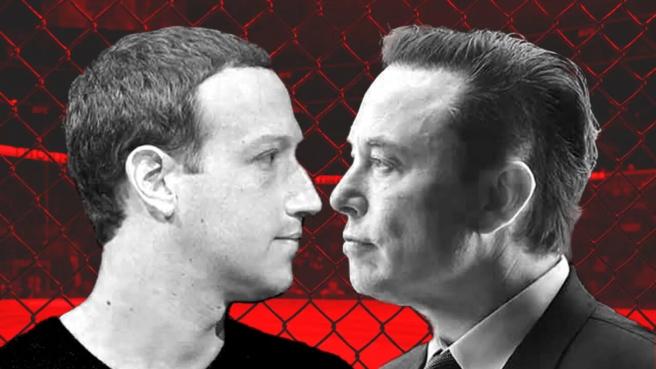 Elon Musk vs Mark Zuckerberg Cage Match, IS THIS REAL?