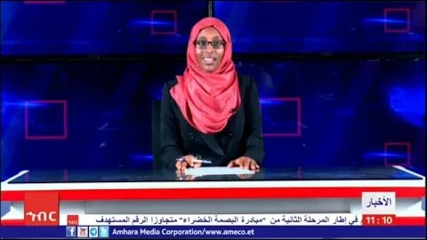 أخبار أميكو