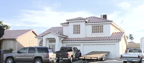 Young child killed by family friend's dog
