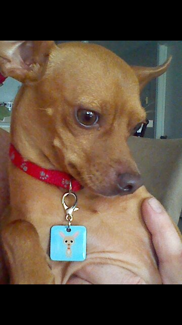 Two Friends In Reverse