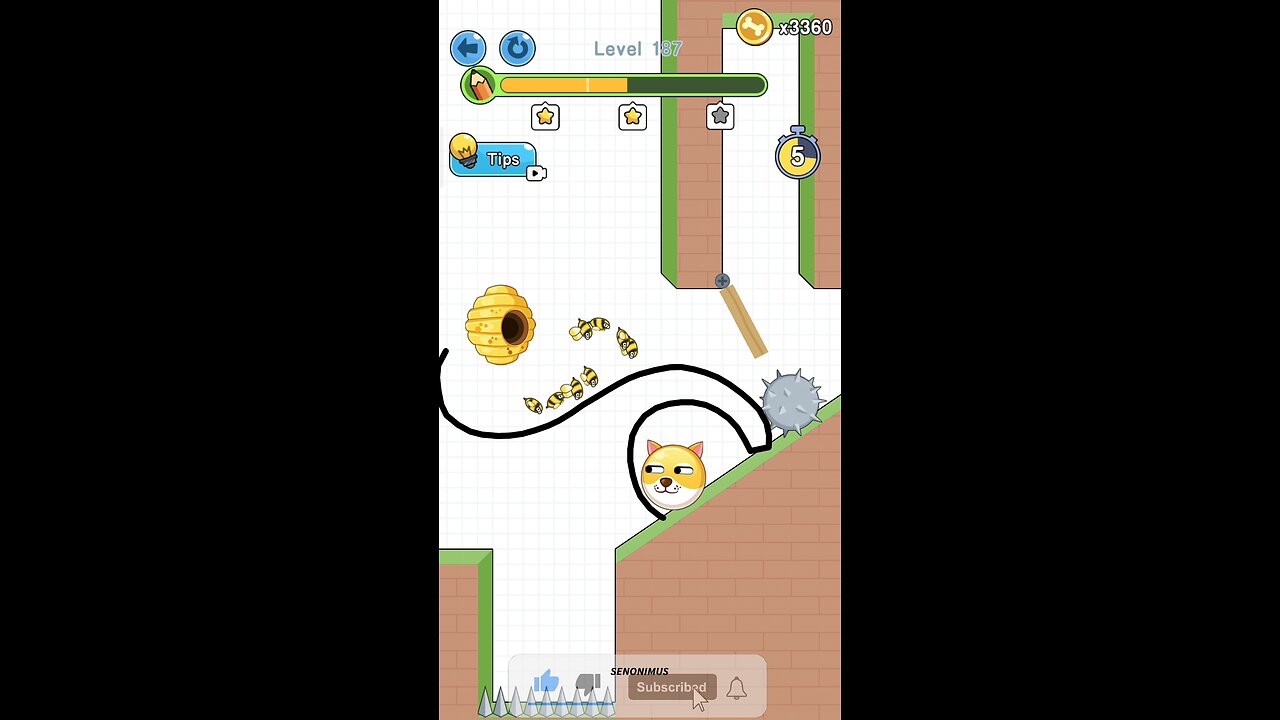 Level 187 | Save The Doge | Senonimus