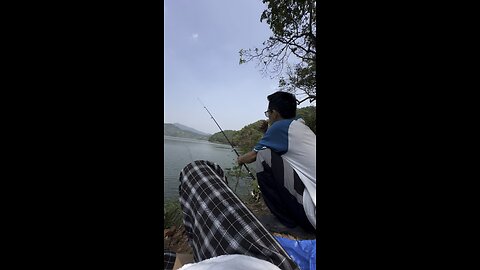 🎣