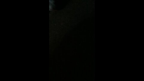 Gnomed