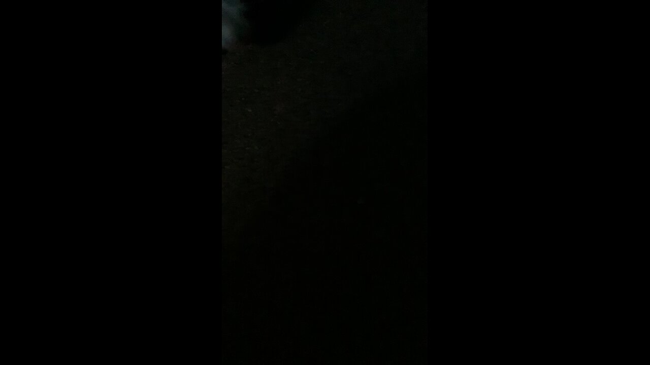 Gnomed
