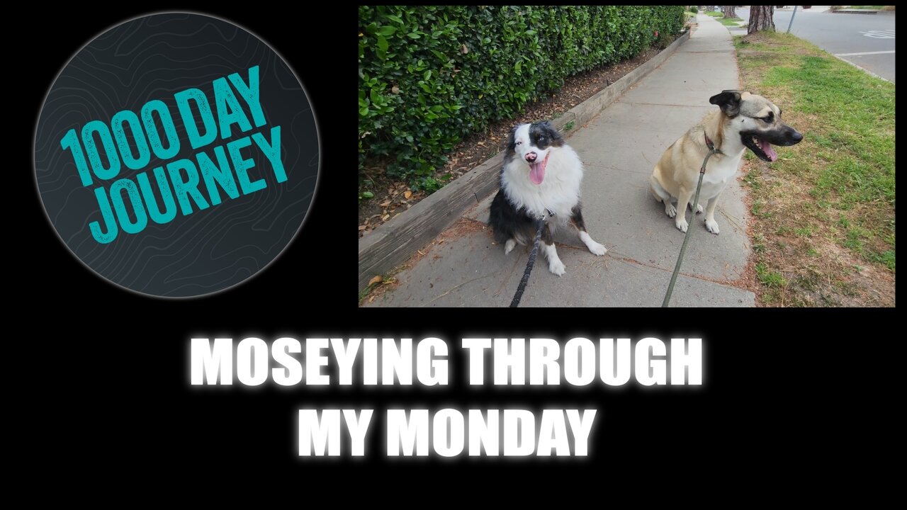 1000 Day Journey 0300 Moseying through my Monday