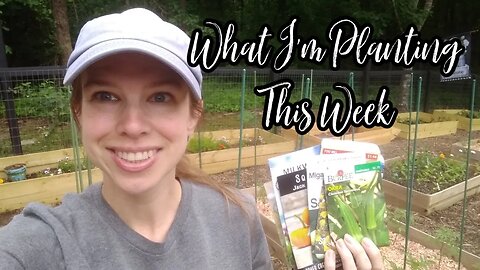 What I'm Planting in the Garden This Week