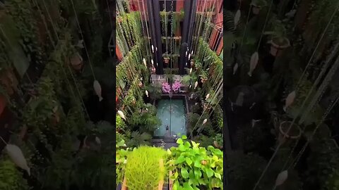 Tropical paradise.