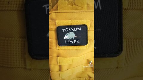 cool possum wardrobe options #shorts #possum #fashion