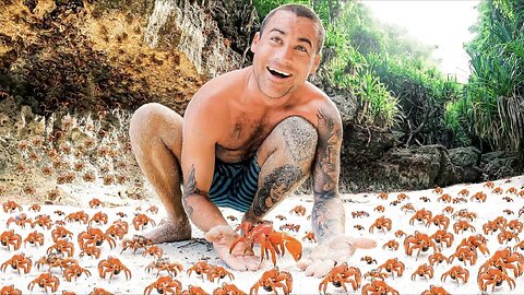 100 million red crabs on a tropical island - bigger crabs migration in the world
