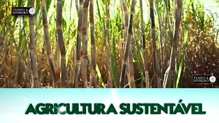 Agricultura Sustentável com Frederico Olivi