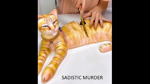Sadistic Murder
