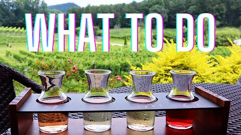 How to Get Unlimited Wine Tastings in Georgia