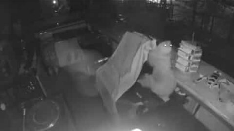 Preguiça invade restaurante durante a noite!