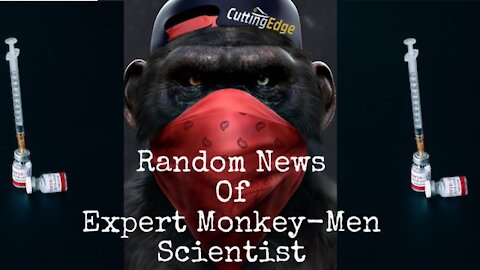 Random News of Expert Monkey Men Scientist