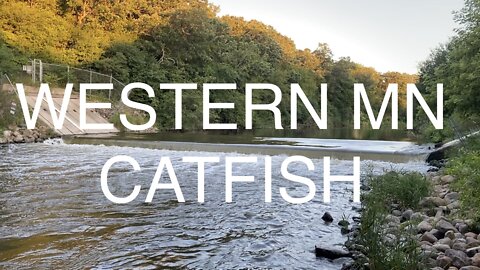 WESTERN MINNESOTA CATFISH