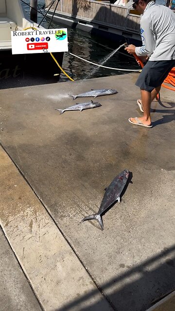 Florida Life 🌴🎣🐟