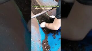 Minhocultura Industrial