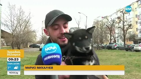 ЩАСТЛИВА РАЗВРЪЗКА Намериха избягалото куче на шеф Петър Михалчев
