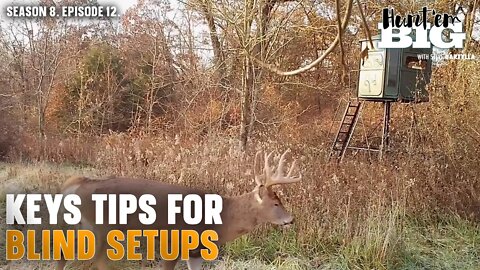 Must-Do Blind Setup Strategies