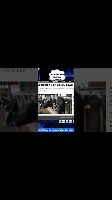 Explosion kills 18000 cows in Texas